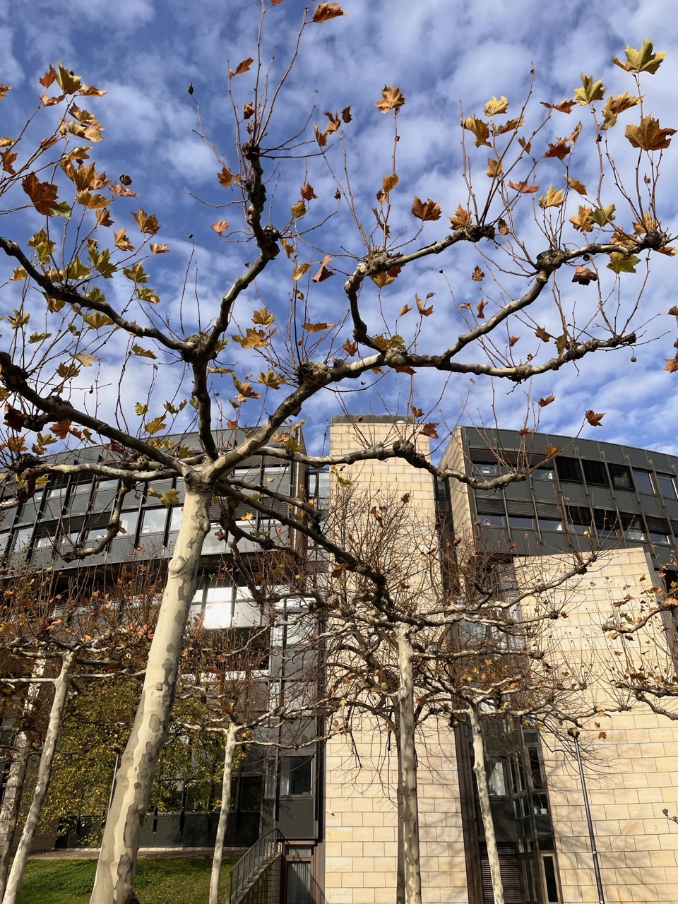 25.11. Jugendalltag1